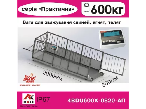 Весы для свиней 4BDU600Х-0820-П Практический