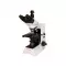 Микроскоп биологический тринокулярный XS-4130 фото 1