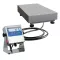 WPT 3/H1/K/EX Waterproof Platform Scales фото 1