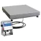 WPT 60/HB4/K/EX Waterproof Platform Scales фото 1