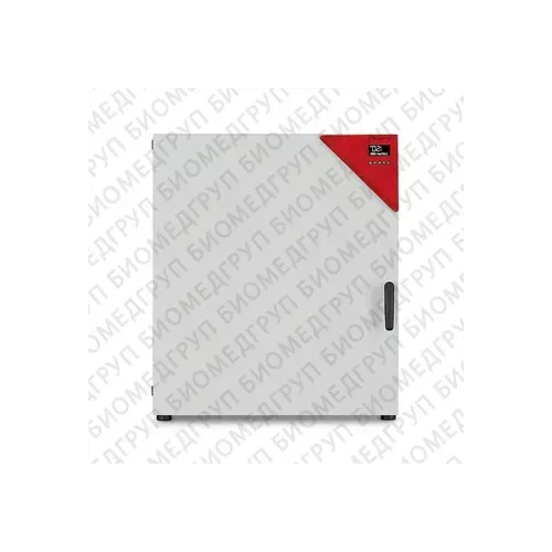 Binder FED 260 - стерилизатор горячим воздухом, 259 л фото 1