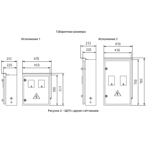 Щитки учёта электроэнергии выносного типа фото 4