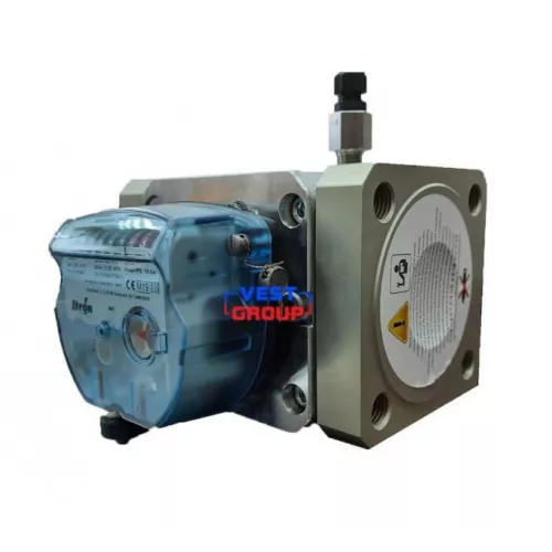 Газовый счетчик роторный Itron DELTA Compact G40 DN40 фото 2