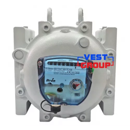 Газовый счетчик роторный Itron DELTA 2100 G400 DN100 фото 3