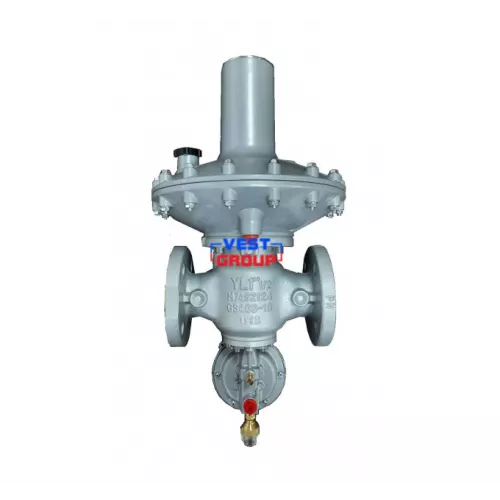 Регулятор давления газа Pietro Fiorentini Dival 600 BP DN 40 фото 2