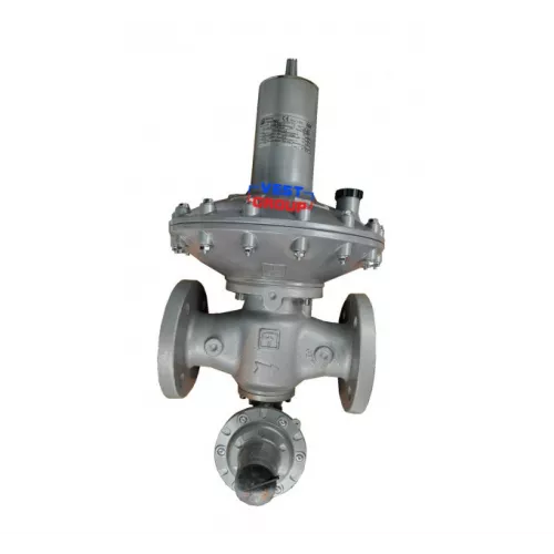 Регулятор давления газа Pietro Fiorentini Dival 600 TR DN 50 фото 1