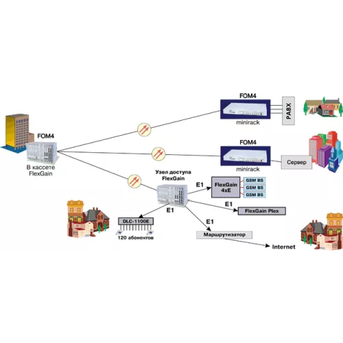 FlexGain FOM4 фото 1