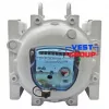 Газовый счетчик роторный Itron DELTA 2100 G400 DN100 фото навигации 3