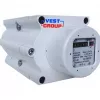 Газовый счетчик роторный ТЕМП G160 DN100 фото навигации 1